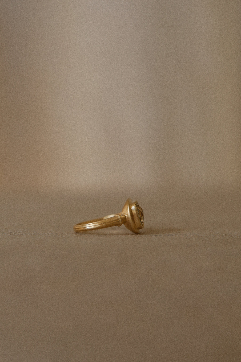 Ring Vision Goud